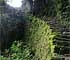 Inca Trail