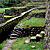 Inca Trail Tour