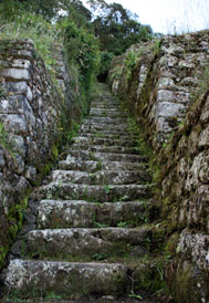 Inca Trail Stairs