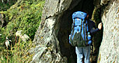 Inca Trail Tour