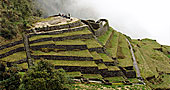 Inca Trail Tour