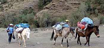 Salcantay Route to Machu Picchu